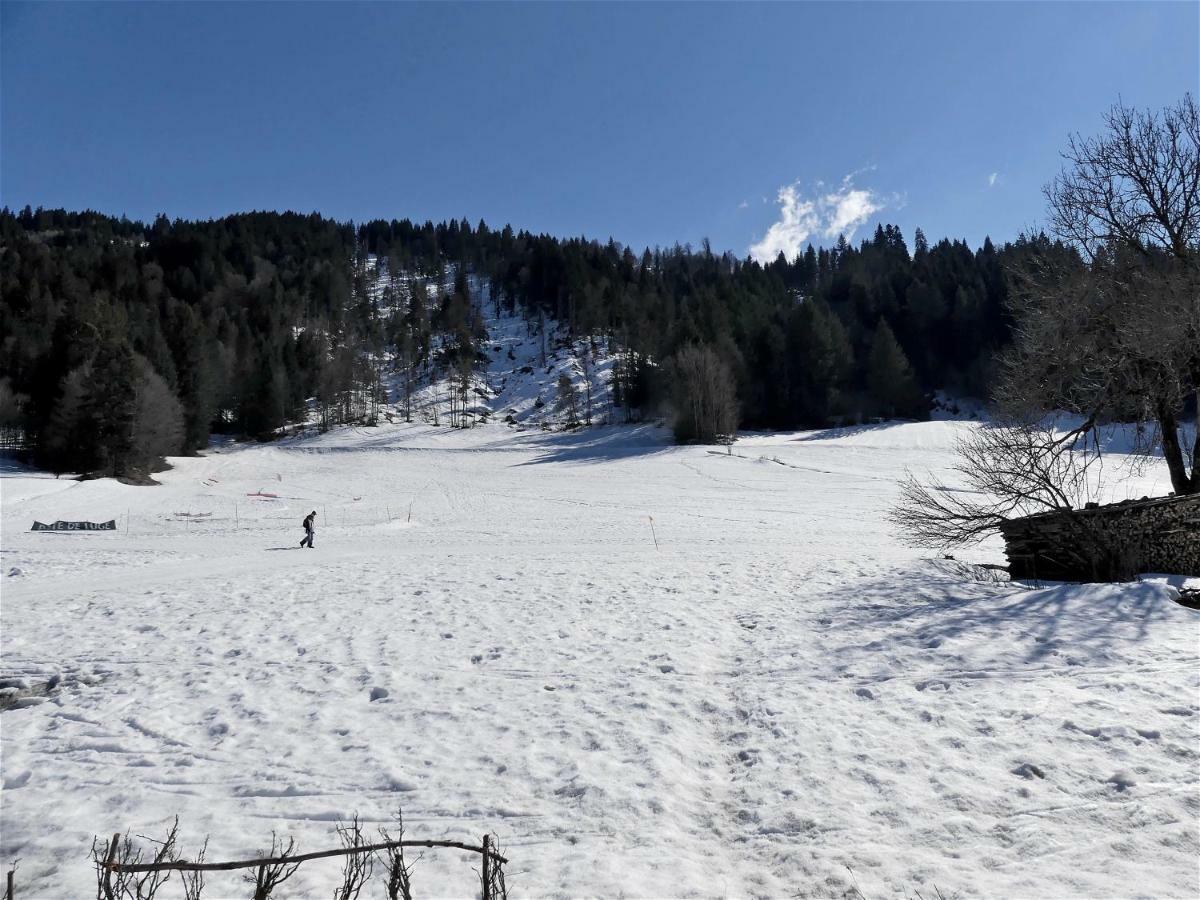 Petit Lutin 1 - Dans Sur Les Pistes Apartment *
